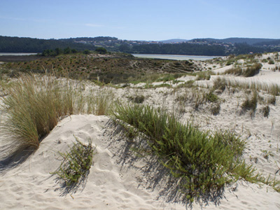 Illa dos Cagall&oacute;ns e Dunas da barra